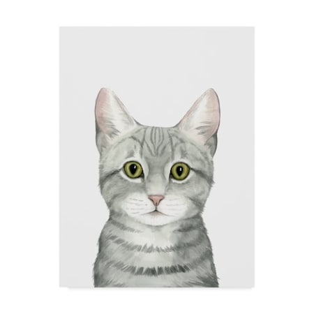 Grace Popp 'Cat Portrait Iii' Canvas Art,35x47
